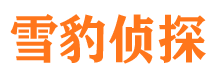 桦川市调查公司